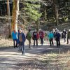 03 bei Waldhausen - Schättere-Trasse